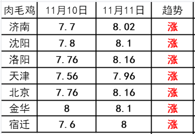 最新雞肉價格走勢分析報告