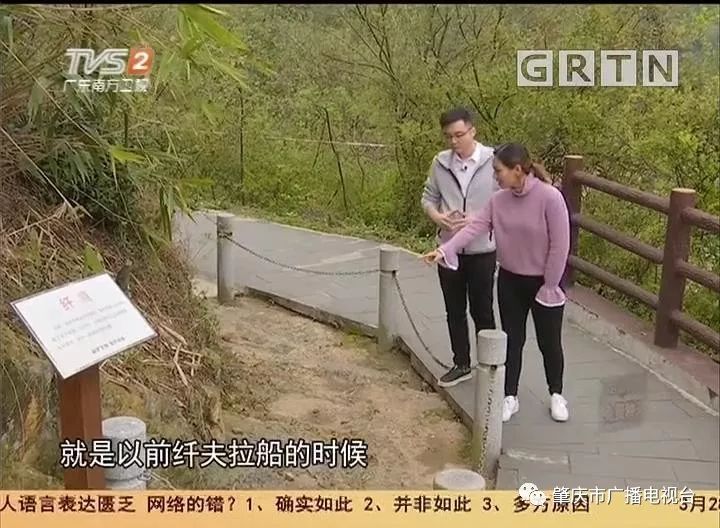 肇慶今日車禍最新報道