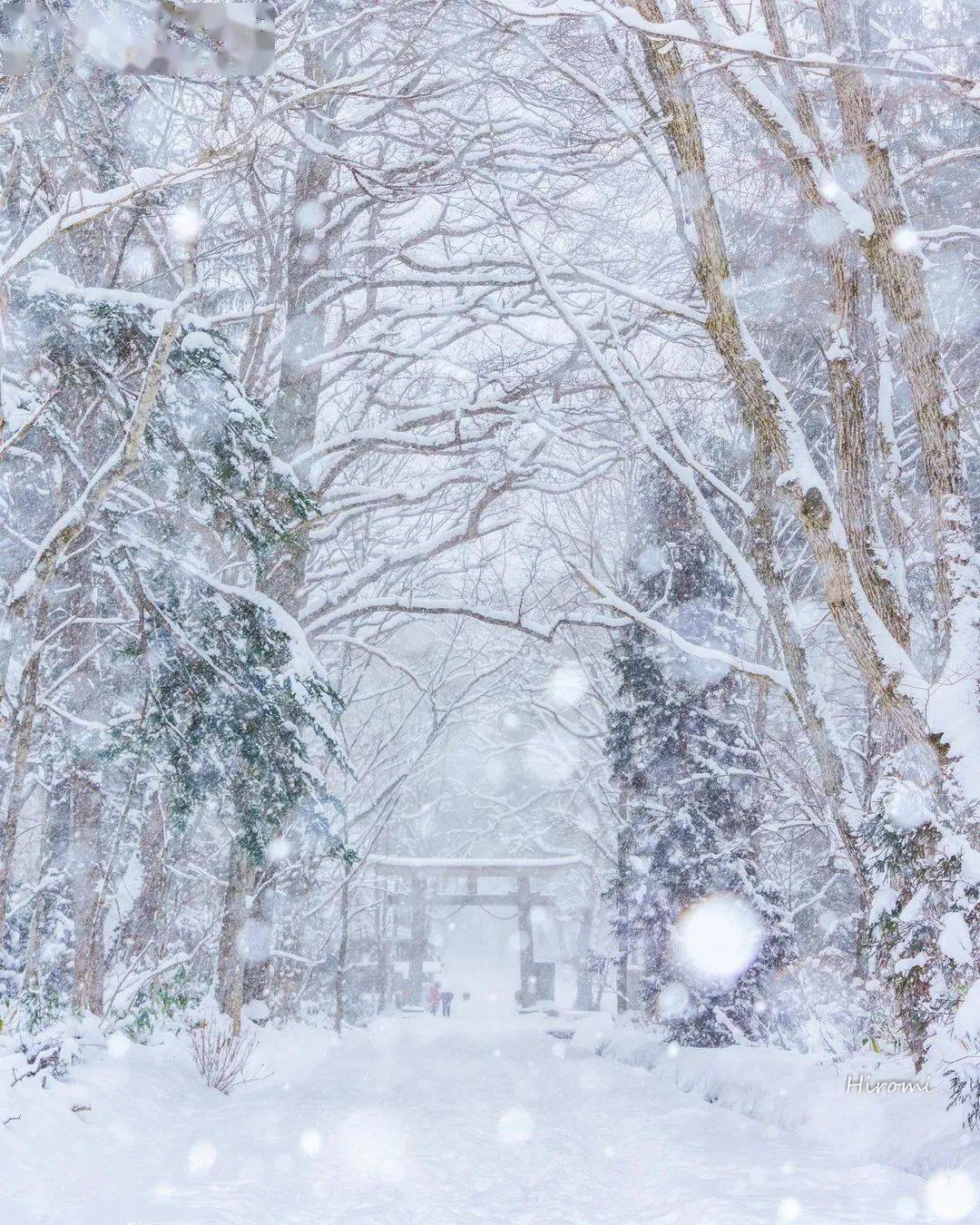 飄雪花倫理熱片，探討道德與合法性的邊界