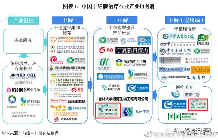 干細胞前沿進展，國內(nèi)最新臨床消息與應用展望