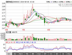 湖北和韻股票最新動(dòng)態(tài)解析，行業(yè)趨勢與公司發(fā)展展望