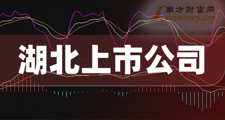 湖北和韻股票最新動(dòng)態(tài)解析，行業(yè)趨勢(shì)與公司發(fā)展展望