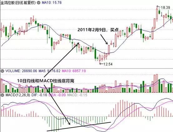 金鴻能源最新股價走勢與市場解讀分析