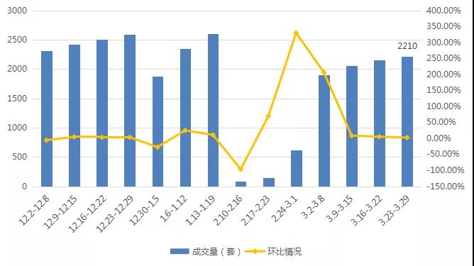 山東蒼山最新開盤房價走勢與深度市場洞察分析