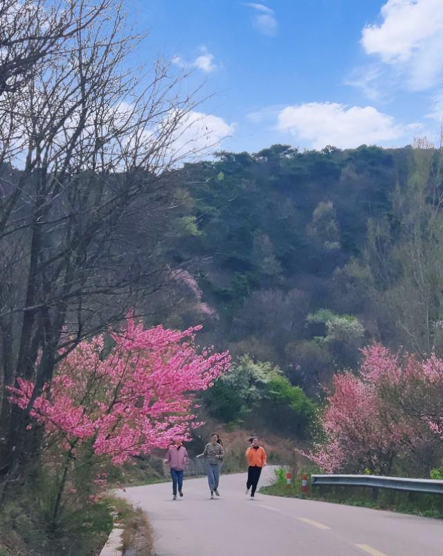 諸城東魯家園未來生活新篇章揭曉最新動態(tài)