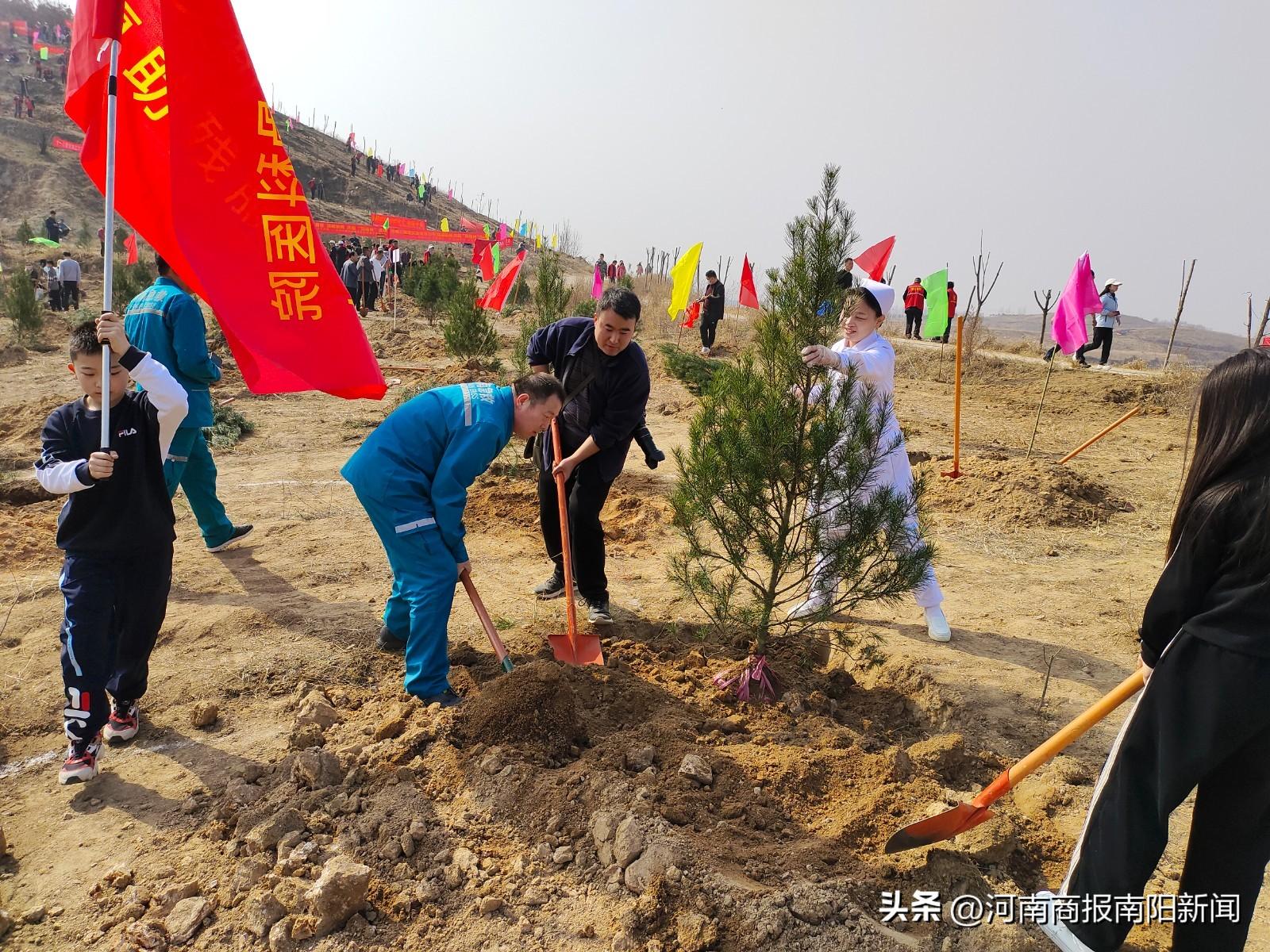 河南南陽京東最新招聘動態(tài)及其地域影響力分析