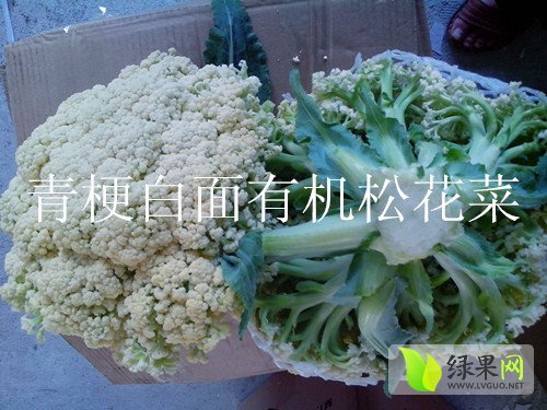 松花菜價(jià)格最新行情解析