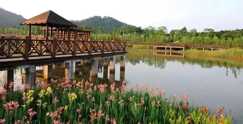 大屯營濕地公園最新動態(tài)揭秘