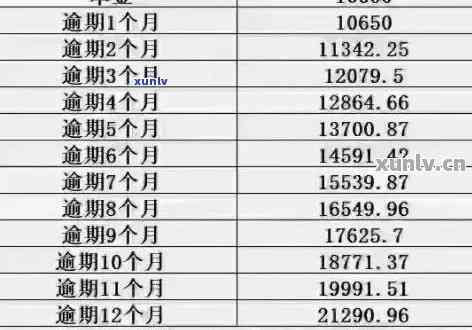 蘿北大興最新還款計劃，重塑財務健康，推動地區(qū)繁榮發(fā)展