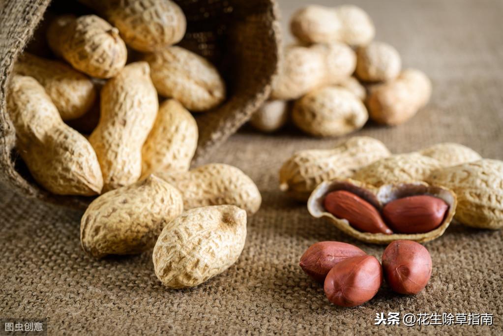 帶皮花生價(jià)格最新動(dòng)態(tài)分析報(bào)告