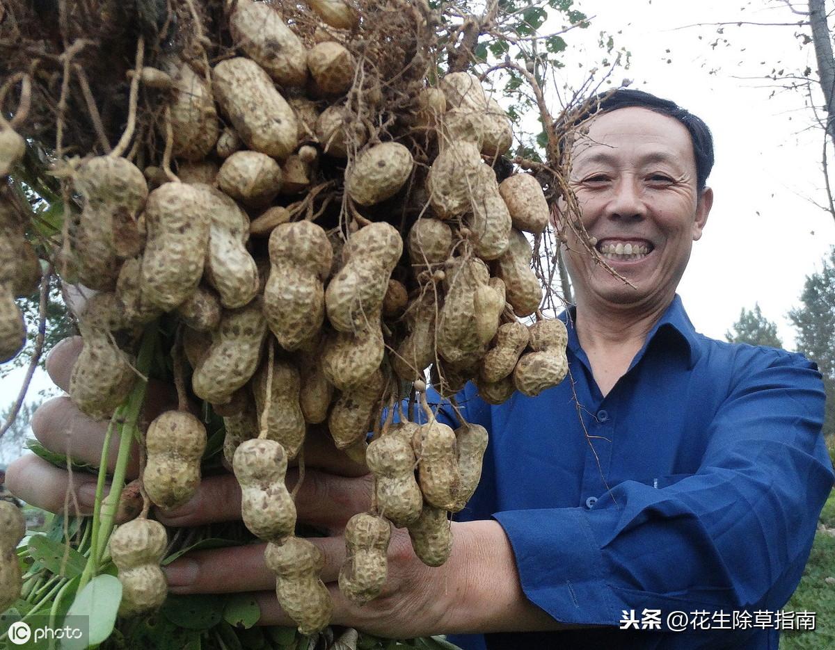 夷芬馥 第3頁