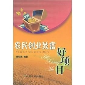 新時(shí)代財(cái)富探索，最新致富好項(xiàng)目揭秘