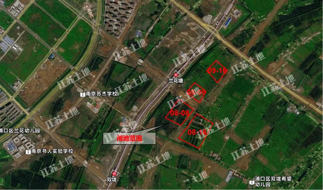 橋林最新房價動態(tài)及市場走勢解析與購房指南