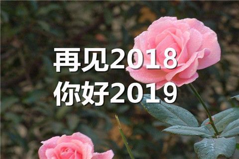 探索自我，感悟生活點滴美好——2018年最新心情說說