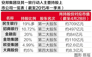 安同良最新持股動向揭秘，深度解析及前景展望