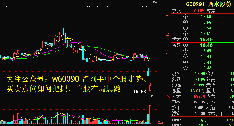 最新消息解析，關(guān)于股票代碼600291的全面解讀