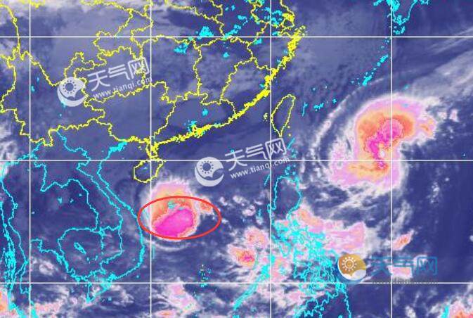 臺風(fēng)煙花最新動態(tài)，第19號臺風(fēng)最新信息關(guān)注中