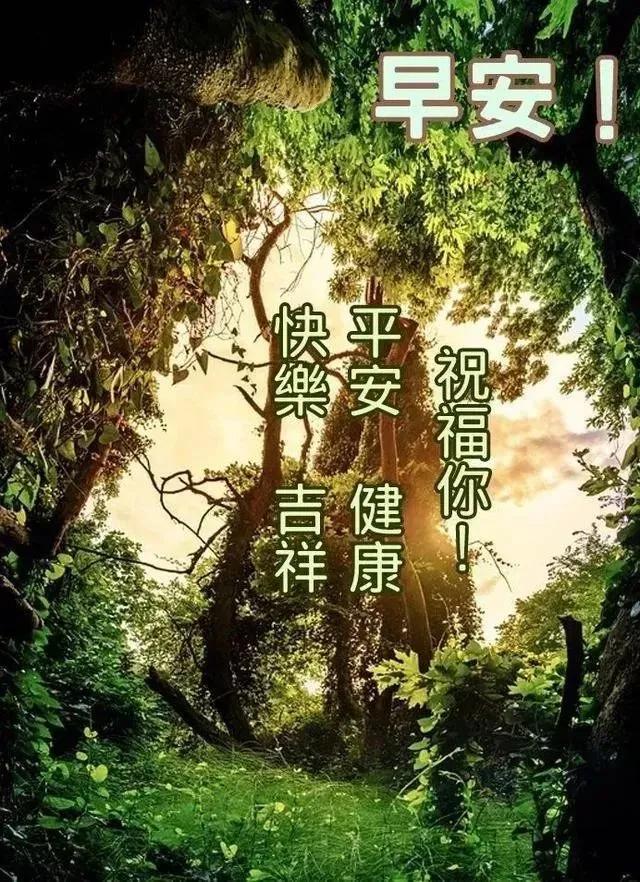 早安最新版，開啟美好一天的序曲