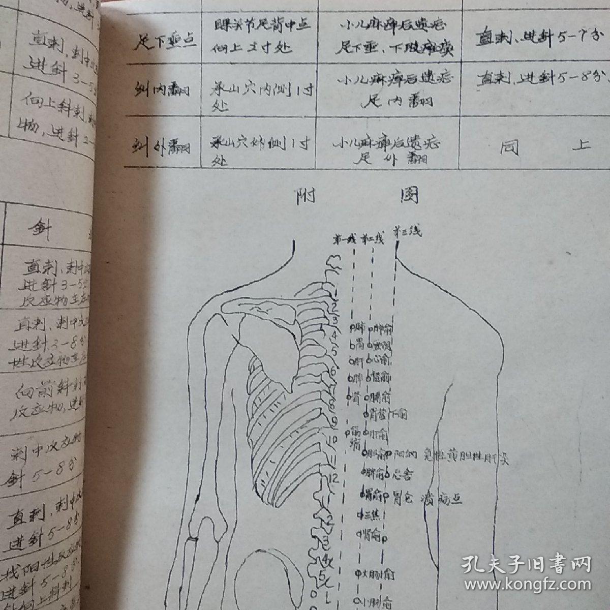 最新經(jīng)絡(luò)療法，古老智慧與現(xiàn)代醫(yī)學(xué)的完美結(jié)合探索