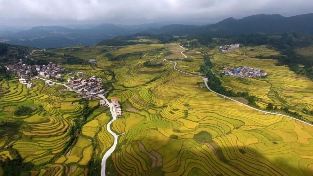 黔南布依族苗族自治州市國家稅務(wù)局最新項目動態(tài)及其區(qū)域發(fā)展影響