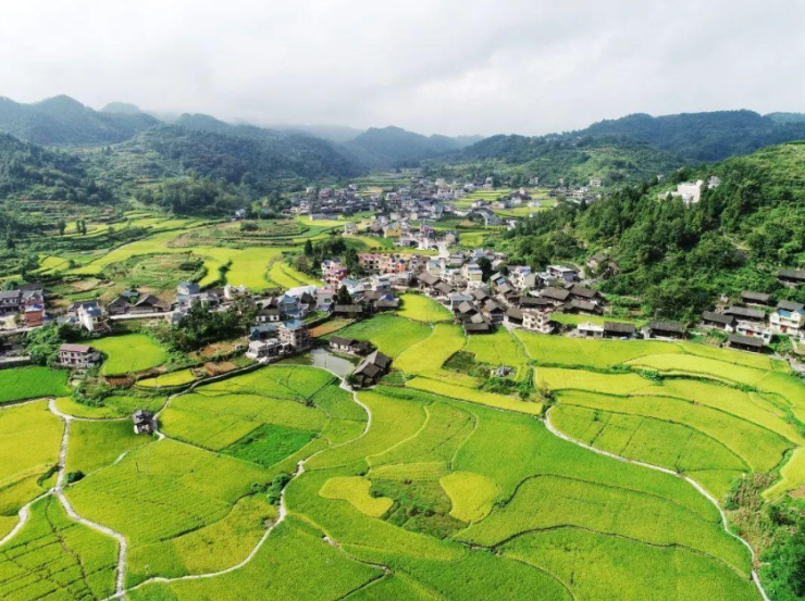 黃茅嶺鄉(xiāng)天氣預(yù)報更新通知