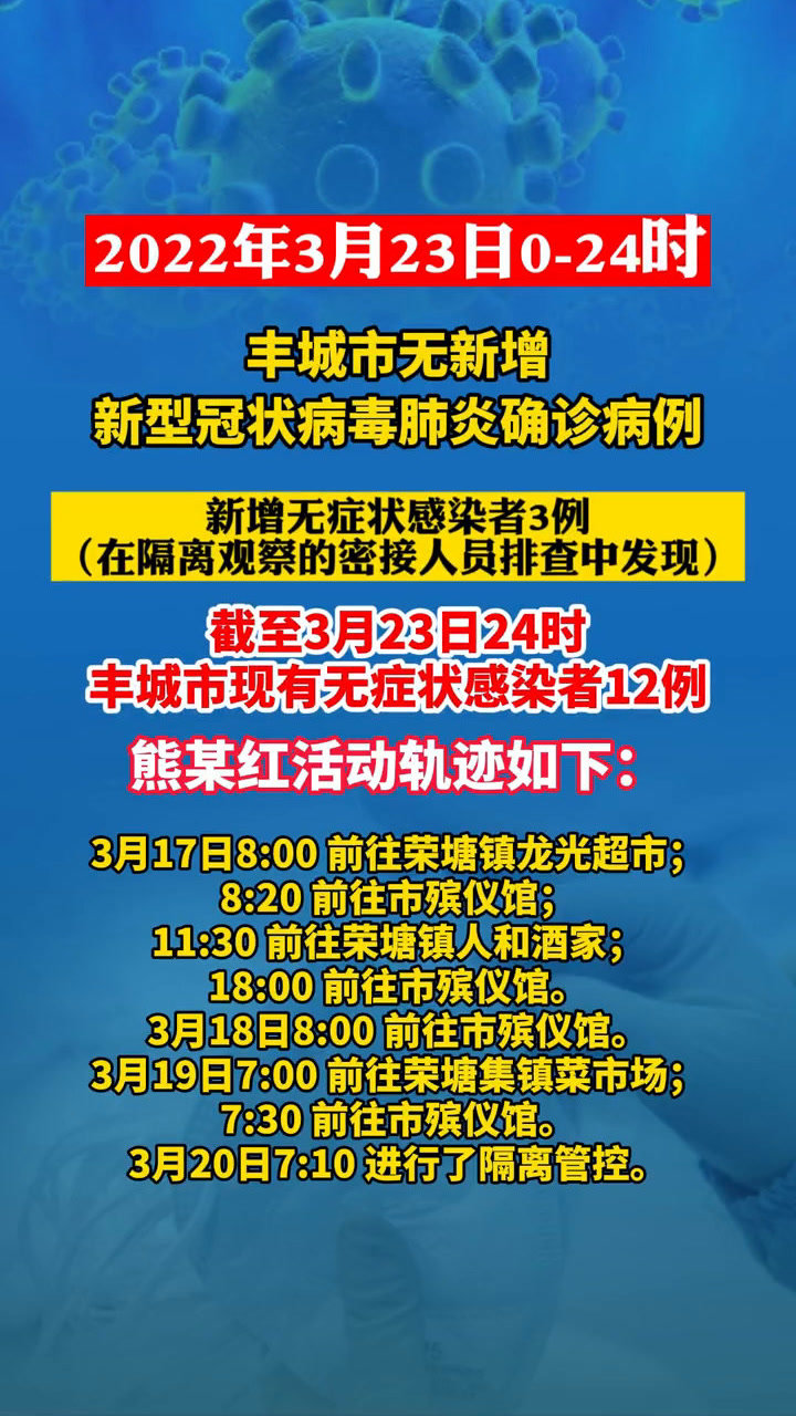 全球疫情最新动态，态势分析与应对策略通报