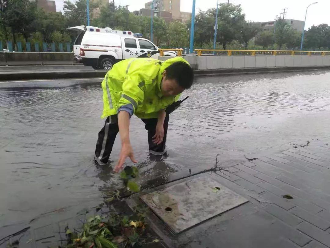 台风警报发布，如何应对台风挑战的策略