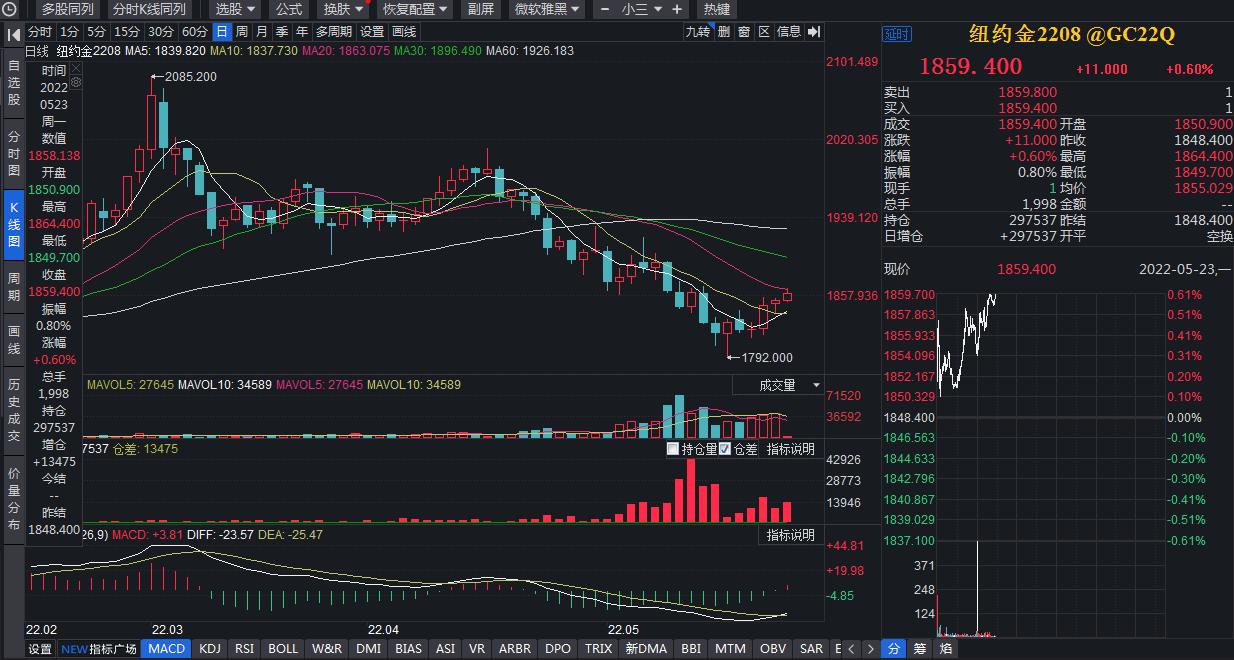 今日金价走势解析，最新动态与趋势分析