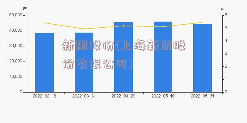 新朋股份重组最新进展,功能性操作方案制定_扩展版6.976