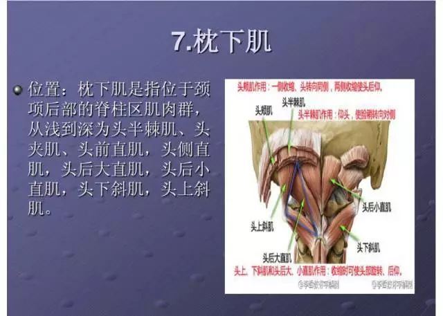 2024年香港免费资料推荐_绝对经典解剖落实_尊贵版248.249.57.156