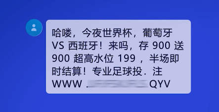 2024新澳门天天开奖攻略_最新正品核心解析81.31.81.141