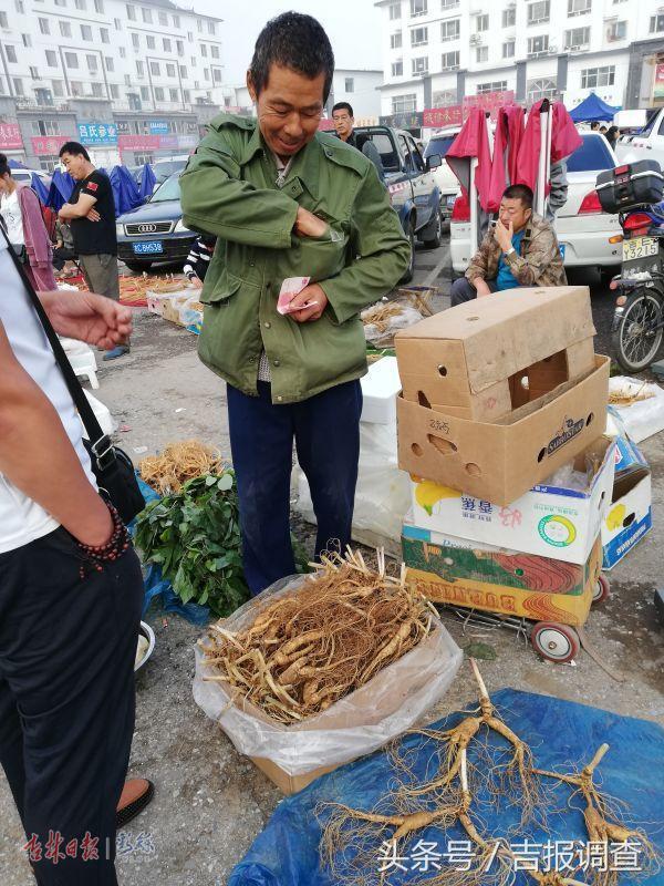 深度探讨，当前沙参市场最新价格动态