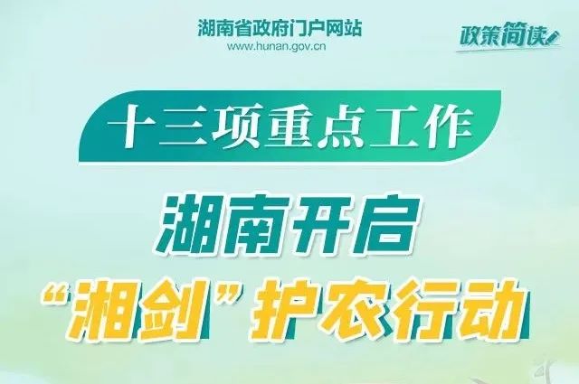 谷饶最新招聘动态与职业发展机遇深度探讨