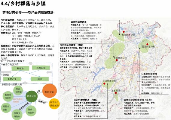 安吉县农业农村局发展规划揭秘，现代化农业新标杆打造之路