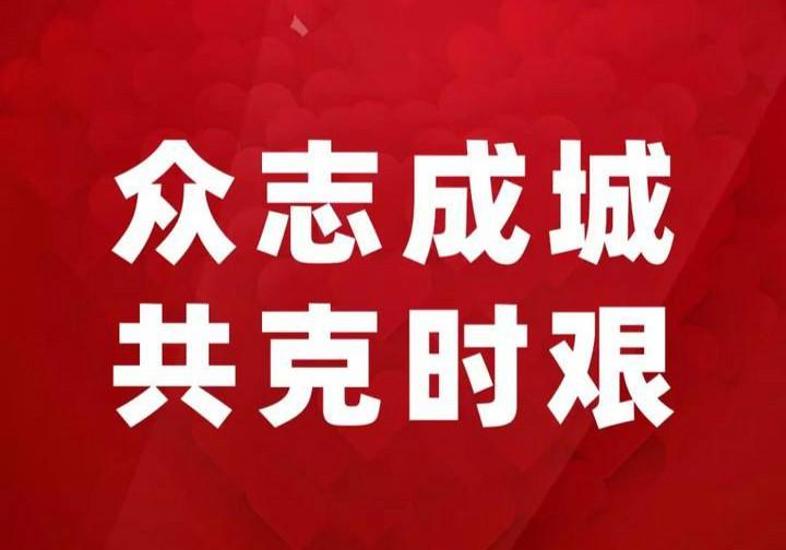 疫情最新播报全面解析报告